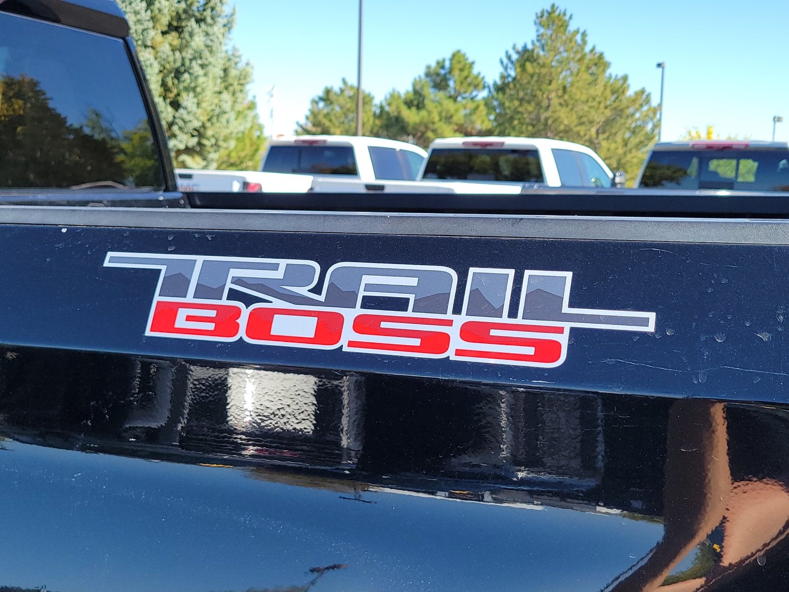 2019 Chevrolet Silverado 1500 Custom Trail Boss