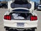 2015 Ford Mustang GT 50 Years Limited Edition