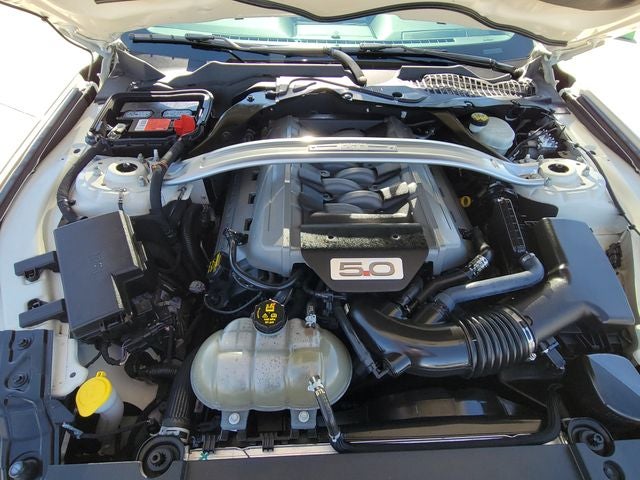 2015 Ford Mustang GT 50 Years Limited Edition