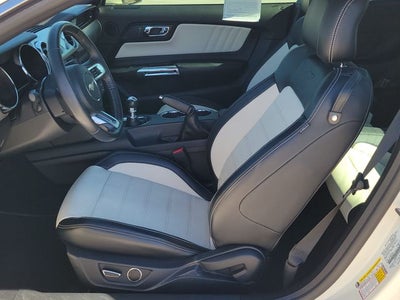 2015 Ford Mustang GT 50 Years Limited Edition