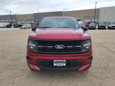 2026 Ford F-150 STX LOBO