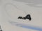 2024 MINI Cooper S Countryman Cooper S